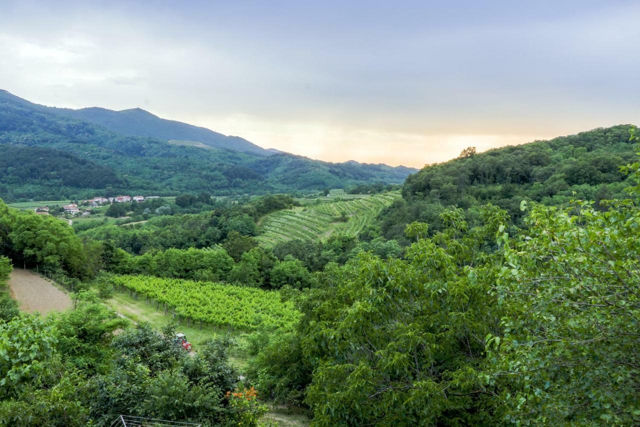 Cebron Family Estate 호텔 브라닉 외부 사진