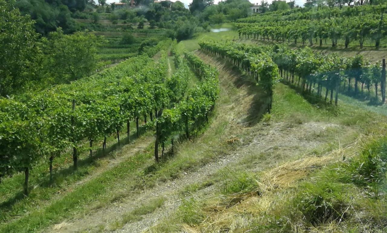 Cebron Family Estate 호텔 브라닉 외부 사진
