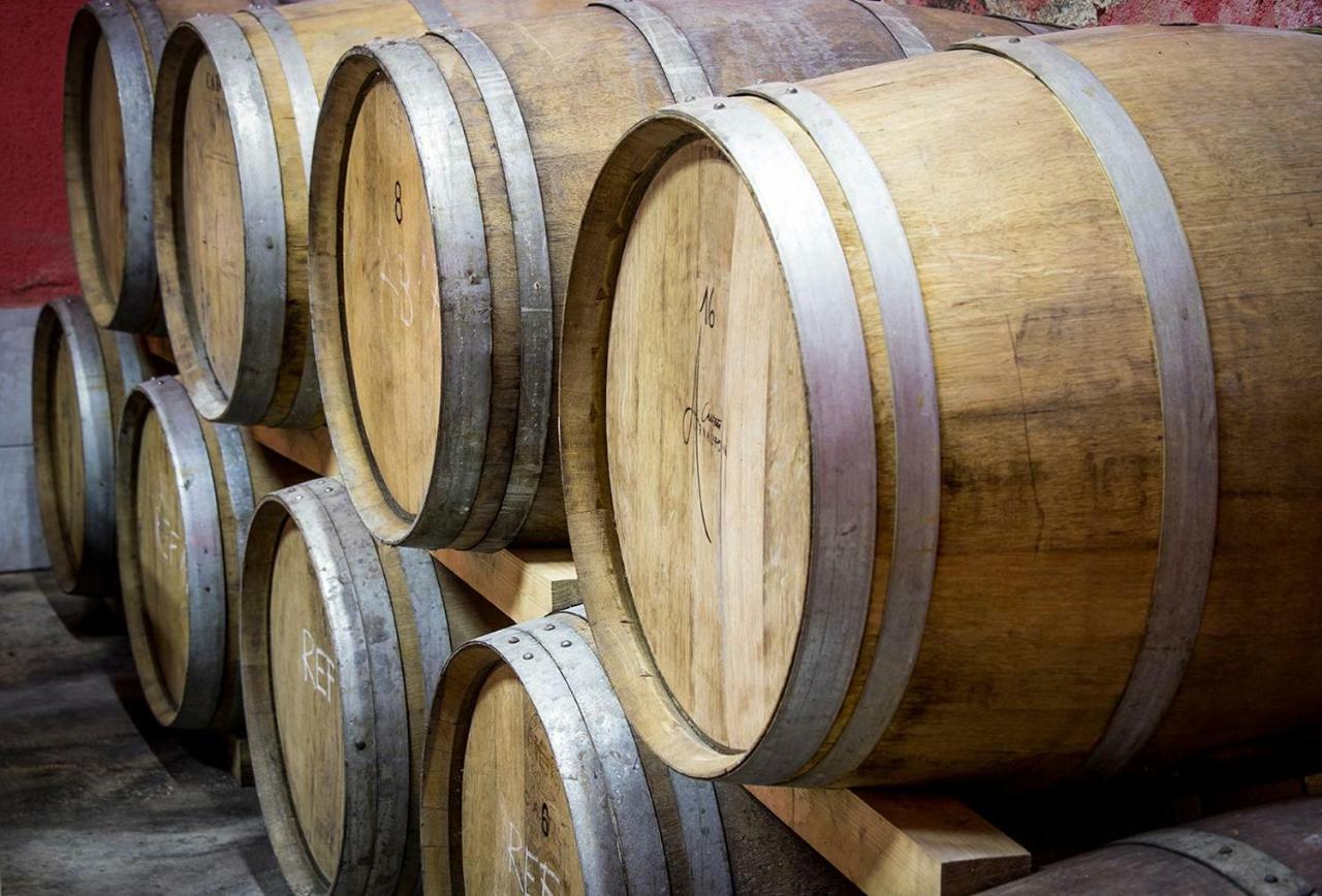 Cebron Family Estate 호텔 브라닉 외부 사진